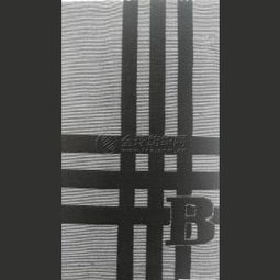 全涤提花布 时尚裤装与衬衫面料的织造艺术